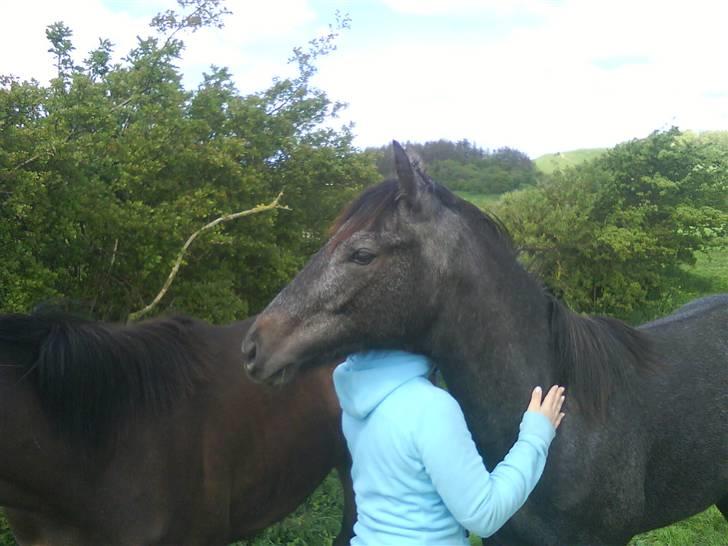 Anden særlig race Stald Magnas Momo Zon - Er det ikk sødt billede 6