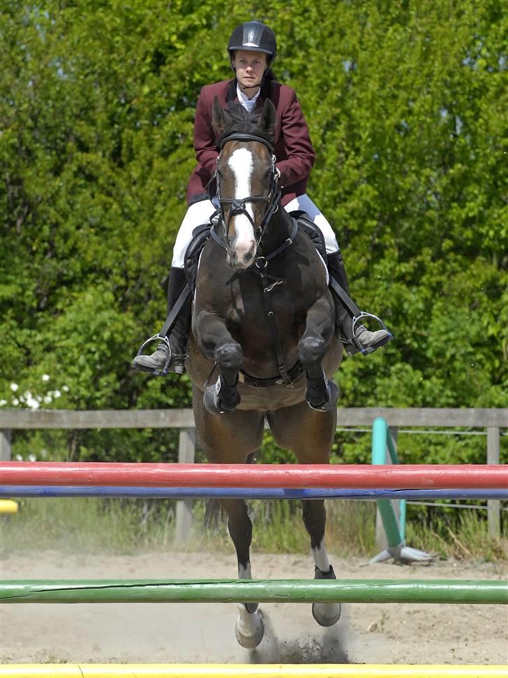 Dansk Varmblod Le´ Quick - Vipperød 2008 billede 11