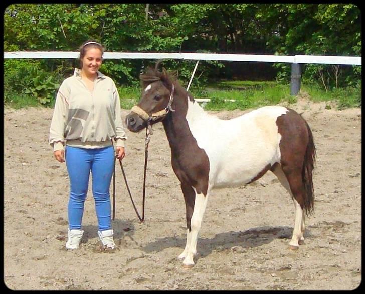 Anden særlig race Safira <3 SOLGT! :-( billede 4