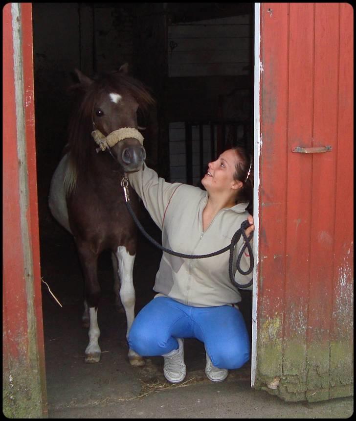 Anden særlig race Safira <3 SOLGT! :-( billede 6