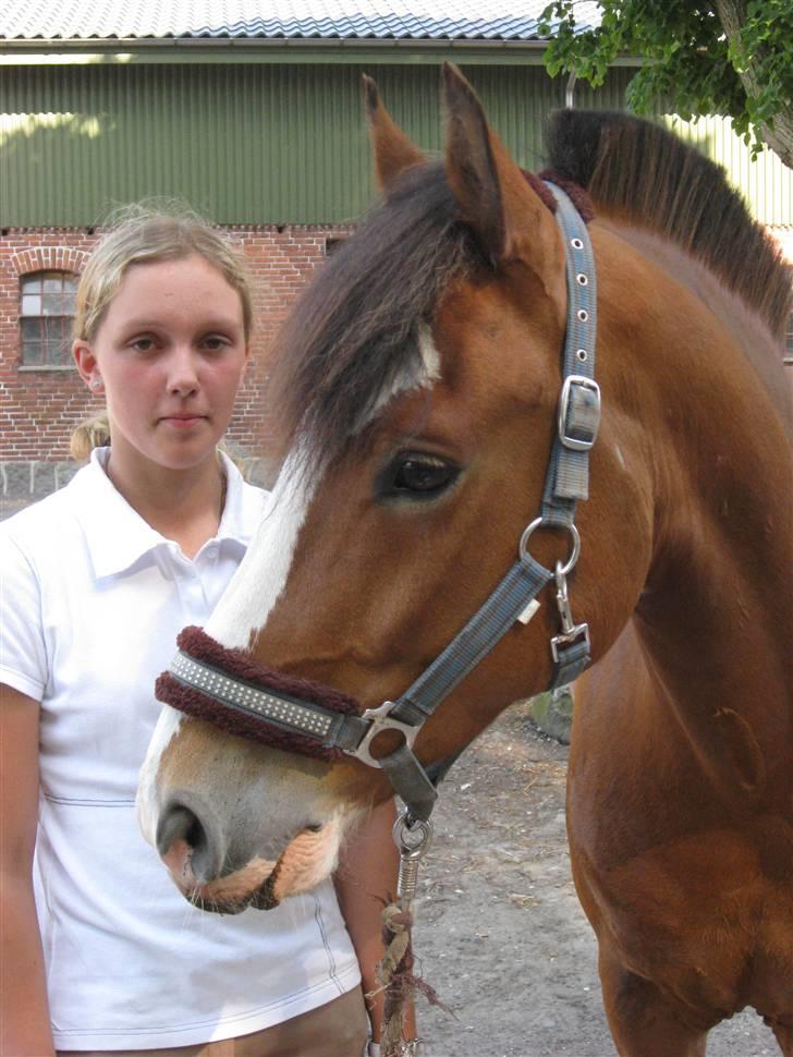 New Forest Firfod Fricazt - Frigge og jeg. :) billede 12