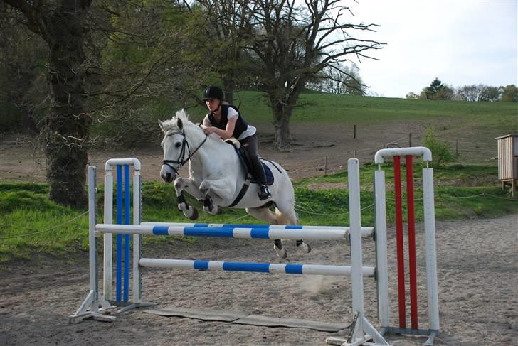 Connemara Zero To Hero billede 11