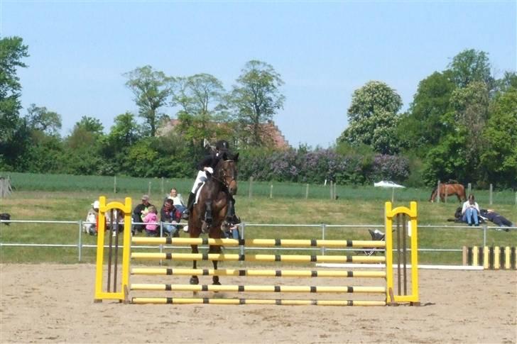 Holstener Calvin Ask billede 4