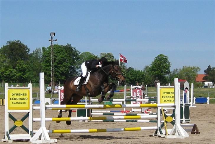 Holstener Calvin Ask billede 5