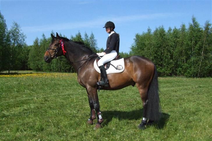 Holstener Calvin Ask billede 6