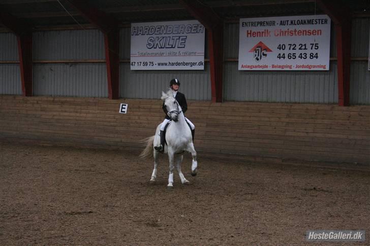 Anden særlig race Super Star / VSR / part - ikk meningen - Stævne 17-5-09 (foto: louise) Tak<3 billede 17