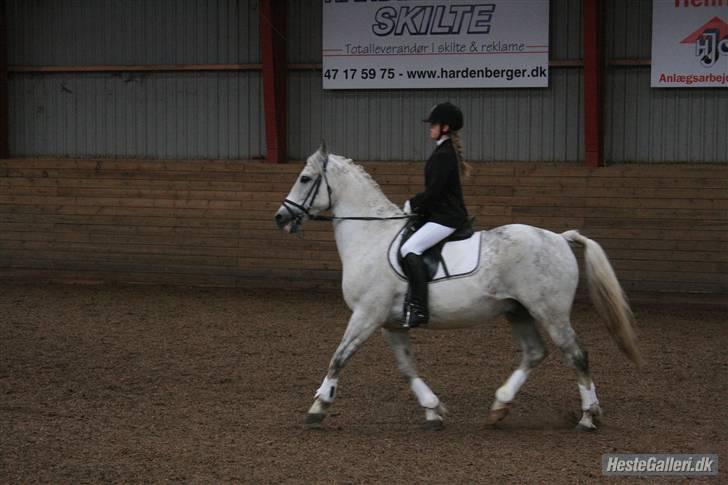 Anden særlig race Super Star / VSR / part - Stævne 17-5-09 (foto: louise) Tak<3 billede 19