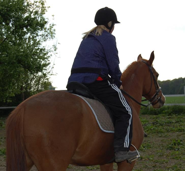 Traver Junker billede 19