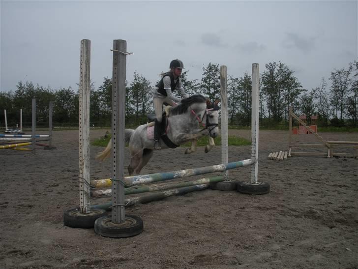 Anden særlig race Honey. SOLGT. <3 billede 13