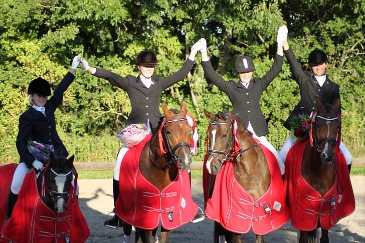 Welsh Mountain (sec A) Fakla Gerald A-pony  ¤Solgt¤ - Hold-FM 2010 - en flot første plads :D billede 13