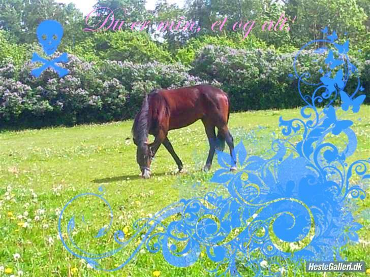 Traver My lord gardenia SOLGT :( billede 2