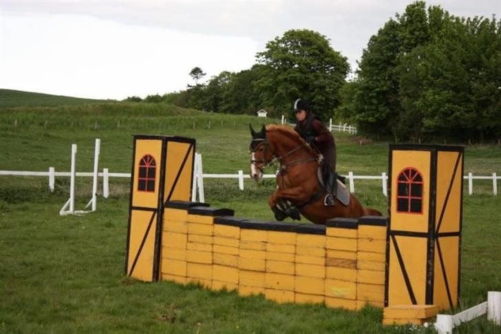 Frederiksborg Kentucky Charlie - Over mur, træning Maj 09. Fotograf: Michelle Brachér billede 4