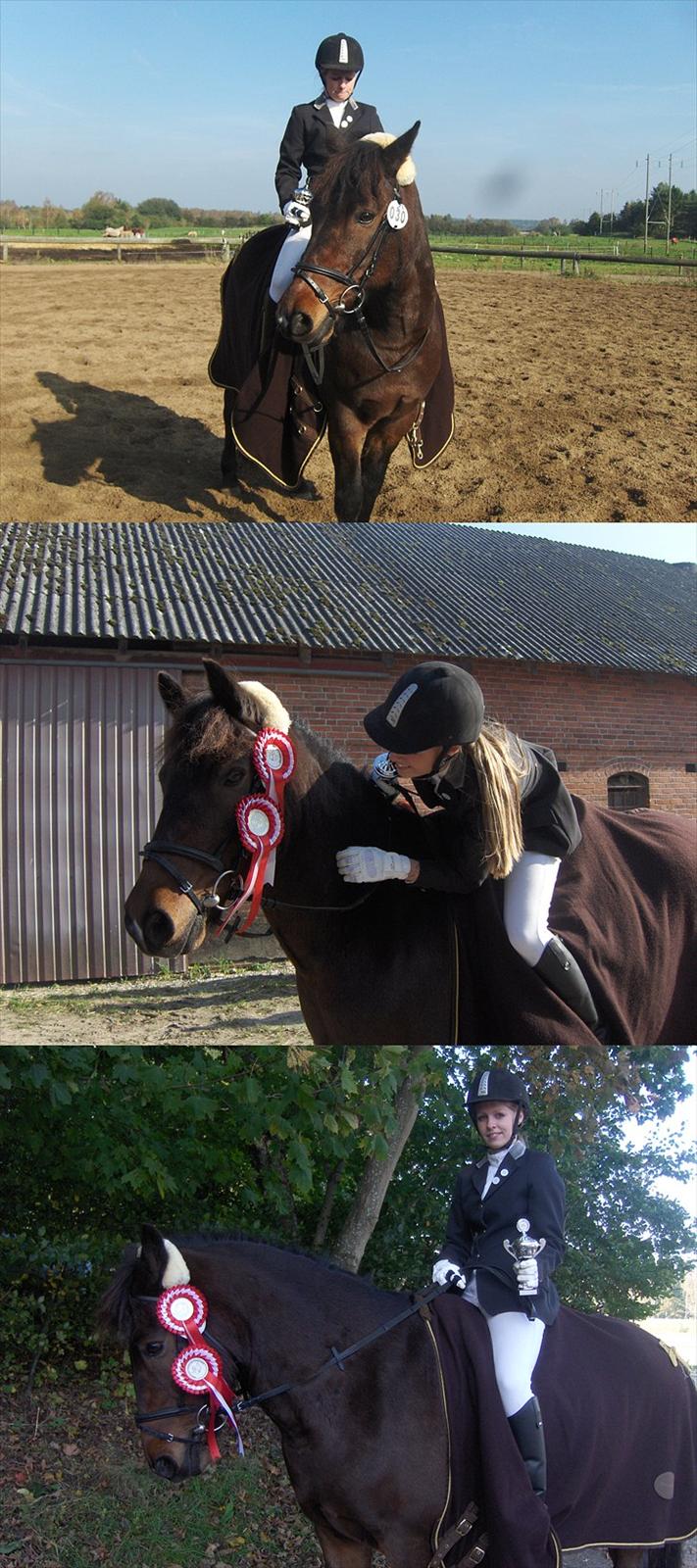 Anden særlig race Balou - 2.plads i Cuppen. :D Kom hjem med to første pladser og en 2 plads i cuppen (:<3 billede 4