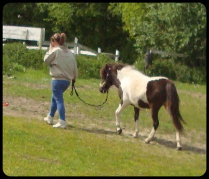 Anden særlig race Safira <3 SOLGT! :-( - nå, det var det var vist det :-) go dag til dig :-) billede 15