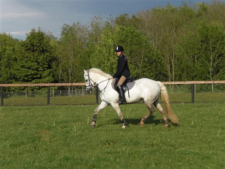 Anden særlig race Chica SOLGT :'( - hehe, du sød skat!<3 foto: Karoline Helbo<3 billede 20