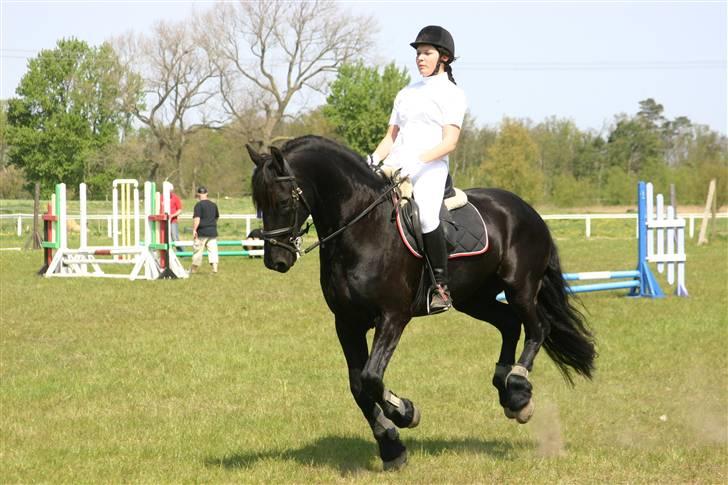 Frieser Dexter af Bjørnskov billede 13