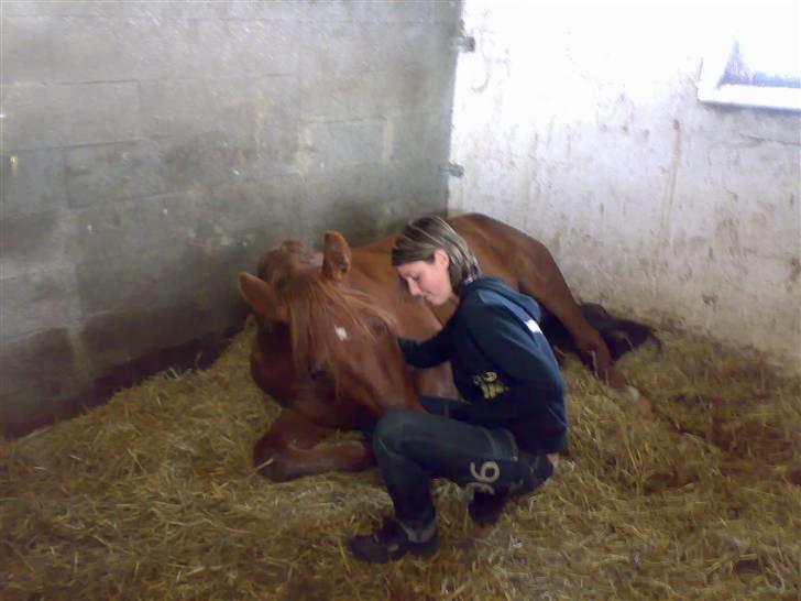 Anden særlig race Hudini! - Det er dårlig kvalitet fordi det er taget med mobil :) billede 4