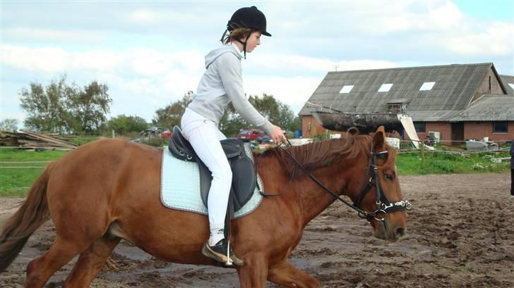 Anden særlig race Hudini! - Den dag jeg troede jeg skulle ryge af for vildt men blev alligevel på :b billede 5