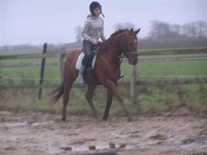 Anden særlig race Hudini! - Endnu en regnvejrs dag :b billede 6