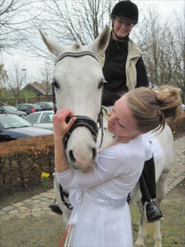 DSP Hannibal - :* elsker den pony :* - til min konfirmation 1 maj 2010 <3 billede 2