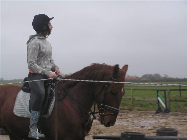 Anden særlig race Hudini! - regn og mere regn :) billede 8