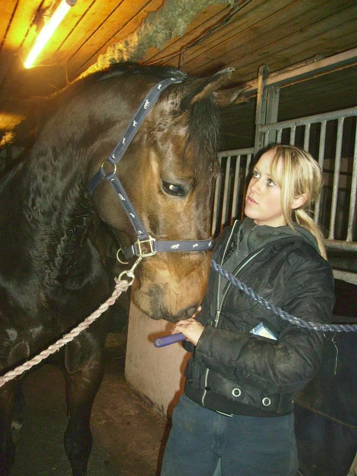 Anden særlig race Sprutnik billede 13