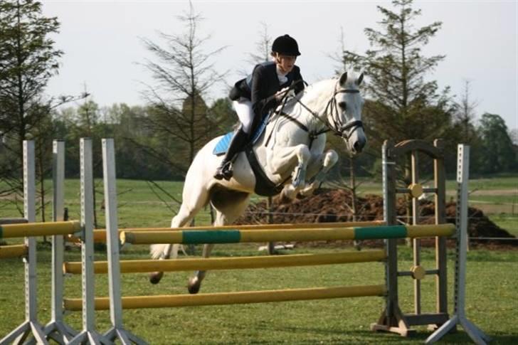 Connemara Nørlunds Cappuccino billede 6