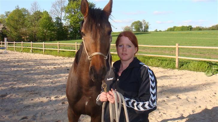 Holstener Caviola billede 10