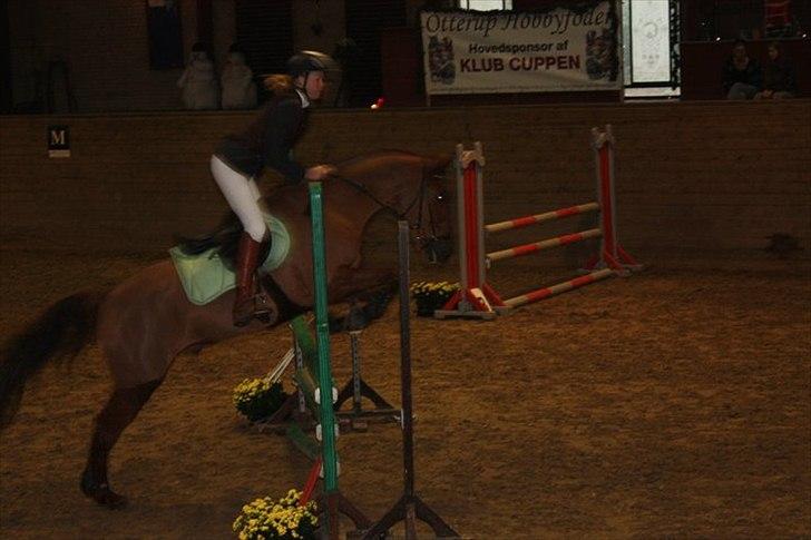 New Forest Simba  - Simba og Trine på Fynsrideklub.  Foto: Lene Poulsen. billede 20