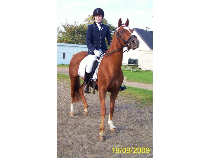 {{currentPhoto.altText}} billede {{currentPhoto.number}}