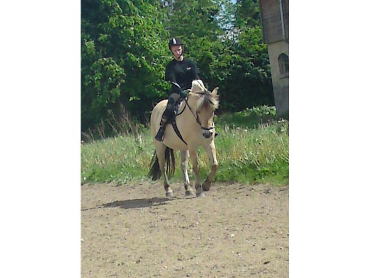 {{currentPhoto.altText}} billede {{currentPhoto.number}}