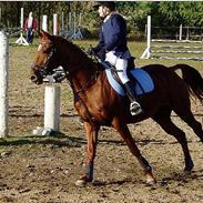 Fuldblod (XX) La Bonie