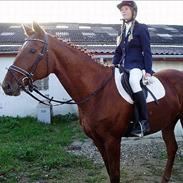 Fuldblod (XX) La Bonie