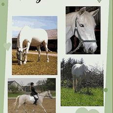 Anden særlig race Jackie