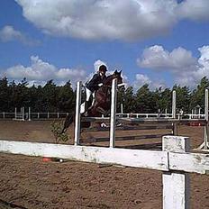 Traver Olfert Speedy