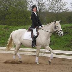 Anden særlig race Jackie