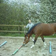 Oldenborg Chemaye