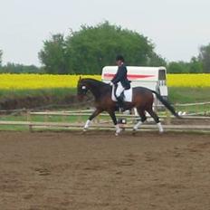 Anden særlig race Easy Go (Sofus)