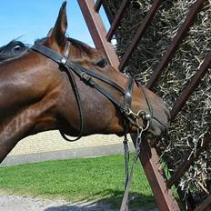 Anden særlig race Easy Go (Sofus)