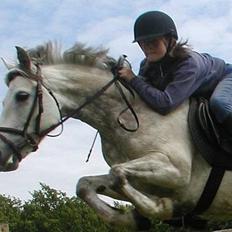 Connemara Skousboe Honey *solgt*