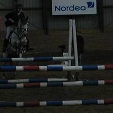 Connemara Skousboe Honey *solgt*