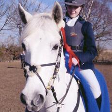 Irsk Sportspony Abbeytown Big Money*Solgt