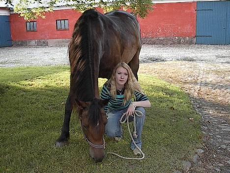 Oldenborg Paw billede 2