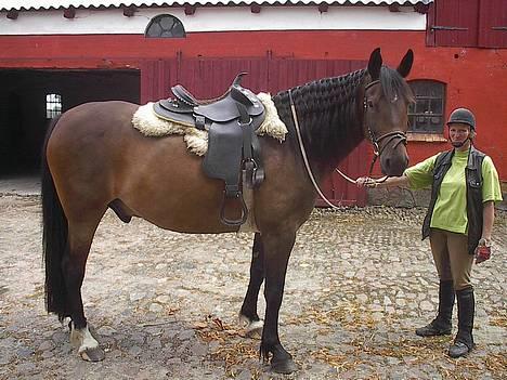 Oldenborg Paw billede 3