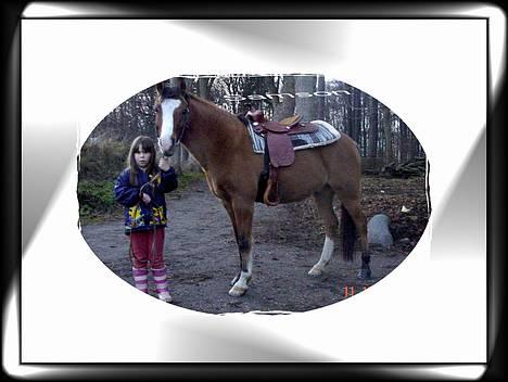 Anden særlig race samson - winnie og samson billede 6