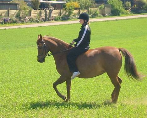 DSP Firhøjs Nobi R.I.P :'( - (Foto by: Maya, min vidunderlige part) billede 8