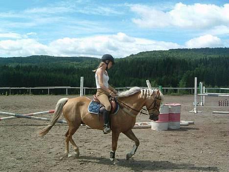 Anden særlig race Romeo billede 2