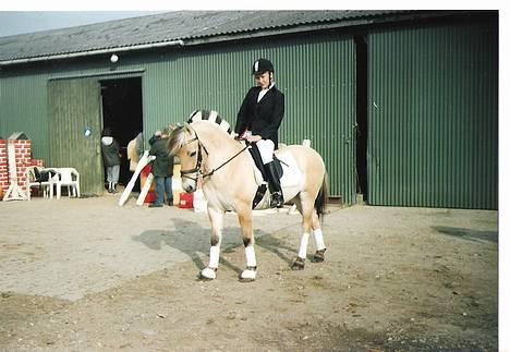 Fjordhest Tulle - Stævne igen=) billede 6