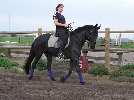 Anden særlig race Shikira (Solgt) billede 1