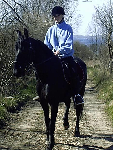 Anden særlig race Shikira (Solgt) - R der ikke flot natur og er hun ikke pæn?? billede 3